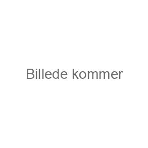 Ametyst smykker (Alle)