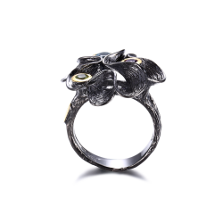 Rainbow Ring  - Waves