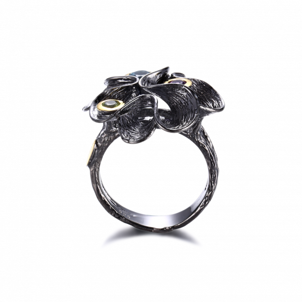 Rainbow Ring  - Waves