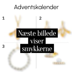 Adventskalender Smykker 