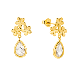 Forglemmigej reringe Med Sten