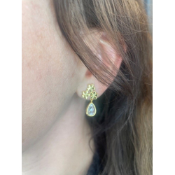 Forglemmigej reringe Med Sten