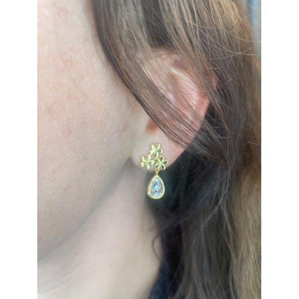 Forglemmigej reringe Med Sten