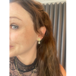 Forglemmigej reringe Med Sten