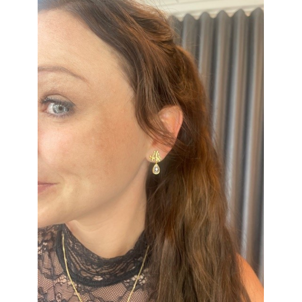 Forglemmigej reringe Med Sten