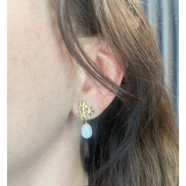 Forglemmigej reringe Med Perler