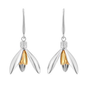 Vintergk reringe - Slv